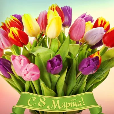 Поздравления с 8 марта картинки тюльпаны фото