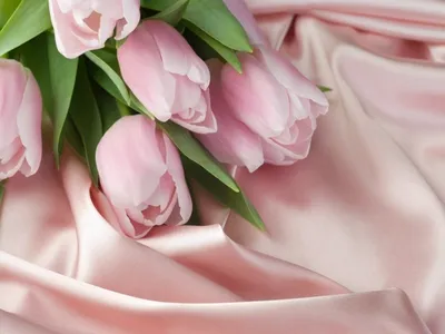 Букеты из тюльпанов на 8 марта - купить с доставкой в Москве |  Интернет-магазин цветов Flower-shop.ru