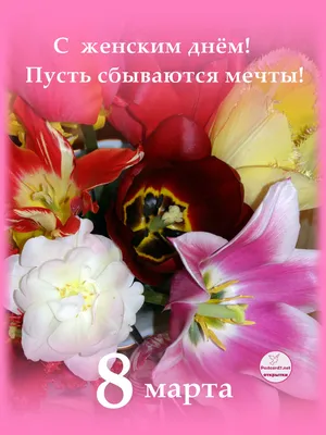 Поздравление с Международным женским днём! » Официальный сайт ГУП РК  Крымавтотранс