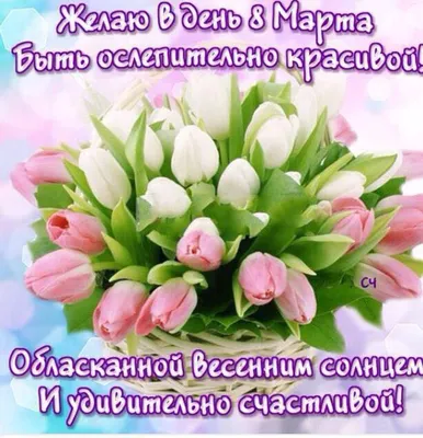желтые цветы тюльпаны на зеленом фоне для текста. поздравления на день  рождения 8 марта Стоковое Фото - изображение насчитывающей годовщина,  пасха: 218046994