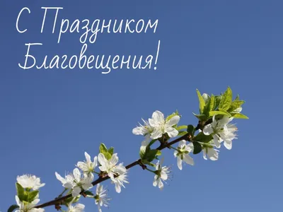 Благовещение 7 апреля: красивые открытки и поздравления - sib.fm