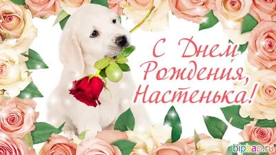 С Днём Рождения, Анастасия! 💐 Очень Красивое Поздравление с Днём Рождения  для Девочки! 🎁 - YouTube