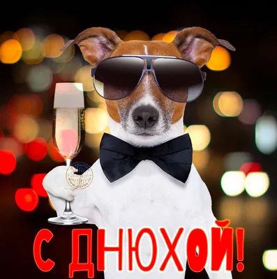 собака с табличкой с днем рождения | Birthday wishes messages, Valentines  day coloring page, Dog valentines