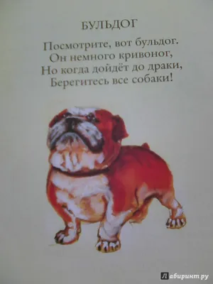 Иллюстрация 11 из 30 для С днем рождения, собака! - Римма Алдонина |  Лабиринт - книги. Источник: Ларчик