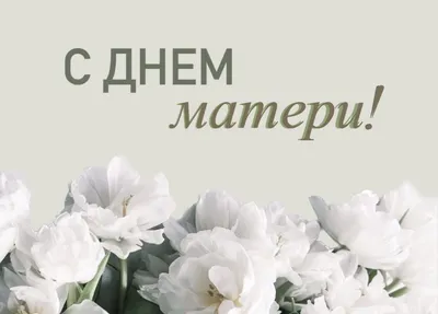 Официальный сайт филиала КузГТУ в г. Новокузнецке