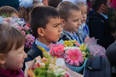 Поздравления с Днем знаний для учителей и школьников