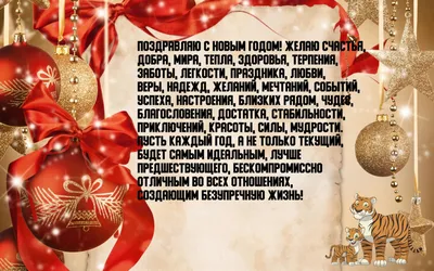 Поздравление с Новым годом из Болгарии — Школа №619