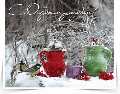 С первым снегом - картинки, красивые открытки и поздравления в прозе -  Главред