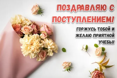 Totus - Поздравляем Вас с ПОСТУПЛЕНИЕМ В ВУЗы. ВУЗ - это... | Facebook