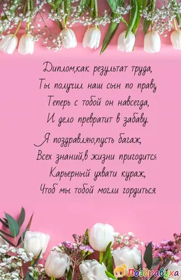 Поздравляю всех студентов с успешной защитой диплома | Пикабу