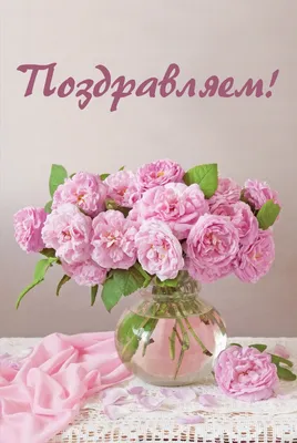 Купить Открытка Поздравляем! Цветы КТ606550 в интернет-магазине ОНЛАЙН  ТРЕЙД.РУ