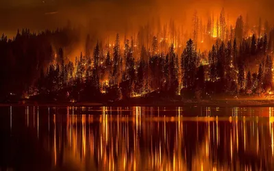 Картинки лес, огонь, пожар, стихия, вода, отражение, красота - обои  1680x1050, картинка №128641
