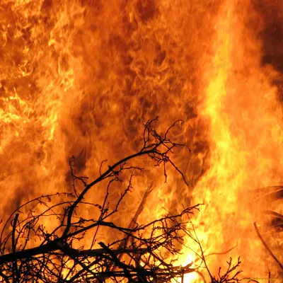 картинки : Огонь, костер, Бренд, Удалить, Лесной пожар, пожаротушение,  Геологическое явление 2048x1536 - - 1152519 - красивые картинки - PxHere