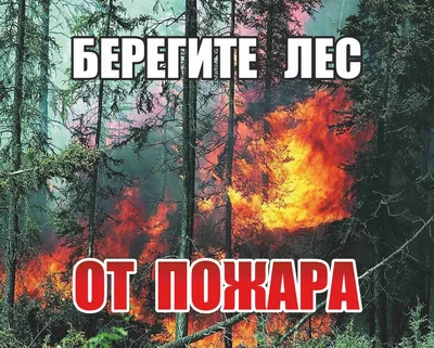 Пожарная безопасность детям! — Стихи для детей о правилах пожарной  безопасности — Социально ориентированная деятельность