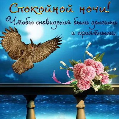 Н И К А (@nlka56)'s videos with оригинальный звук - Светлана | TikTok