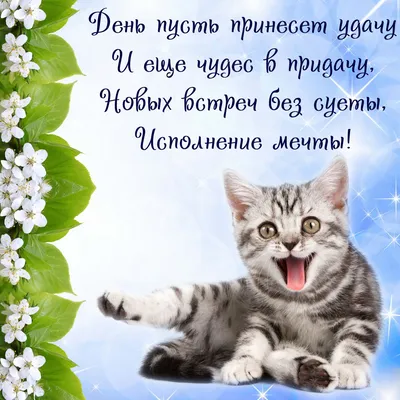 С праздником настоящих мужчин!