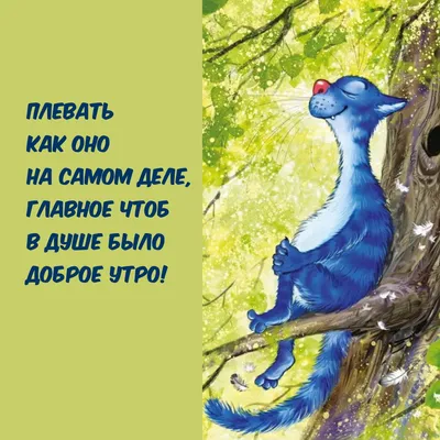 Красивые картинки \"Доброе утро\" (1791 шт)