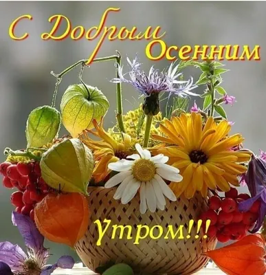 Прикольные картинки \"С Добрым Утром!\" (254 шт.)