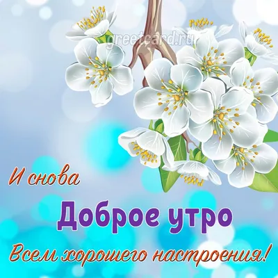 Необычные картинки \"С Добрым Утром!\" (312 шт.)