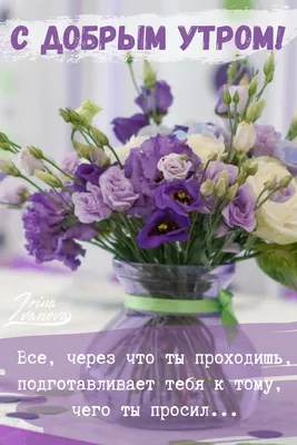 C добрым утром хорошего дня и отличного настроения на весь день открытки  (30 фото) скачать бесплатно