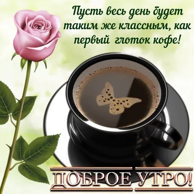 Доброе утро красивые открытки кофе море и цветы любимая любимый эстетика  инстаграм сторис | Доброе утро, Открытки, Христианские картинки