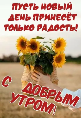 Картинки \"С добрым утром\" (50 открыток) • Прикольные картинки и позитив