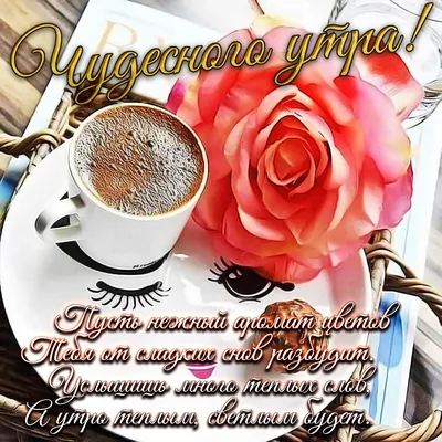 Картинки \"С добрым утром и хорошего дня!\" (520 шт.)