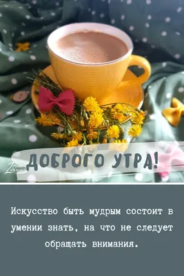 1000 открыток \"с добрым утром\" - поздравляйте бесплатно