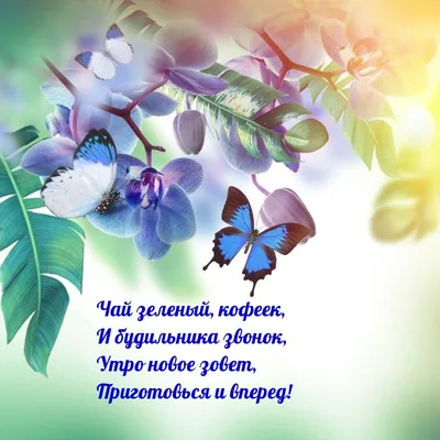 Открытки \"С добрым утром!\" (1216 шт.)