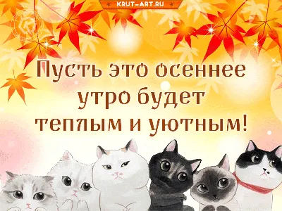 Пожелания с добрым утром в картинках (1535 шт.)