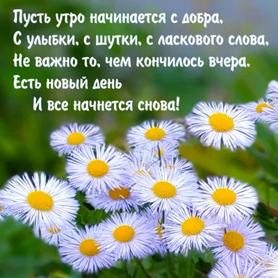 Красивая подборка открыток с добрым утром | Открытки, поздравления и  рецепты | Дзен