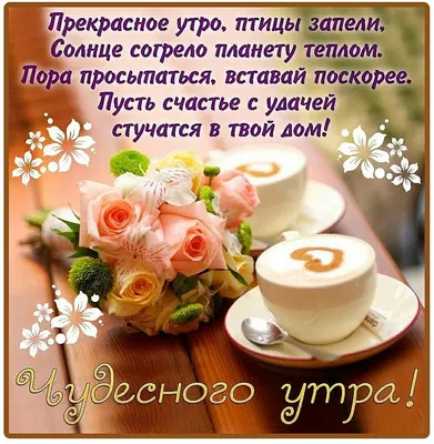 Картинки с добрым утром и хорошей погодой прикольные (55 фото) » Картинки и  статусы про окружающий мир вокруг