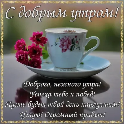 Оригинальное пожелание доброго утра (68 лучших фото)