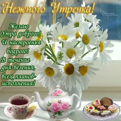 Новые картинки! Открытка красивая с добрым утром, пожелания доброго утра,  утречка!
