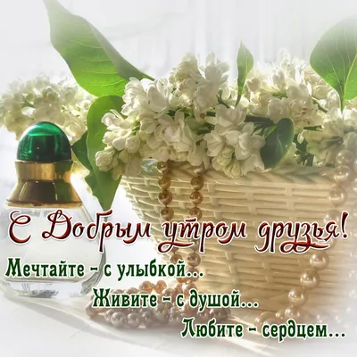 Картинки с добрым утром с пожеланиями. 😊 (125 шт.) | Доброе утро, Смешные  поздравительные открытки, Винтажные чаепития