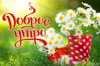 Картинки \"С Добрым Утром!\" со смыслом (200+)