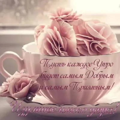 Добрые пожелания на каждый день | Любовь и романтика | Дзен
