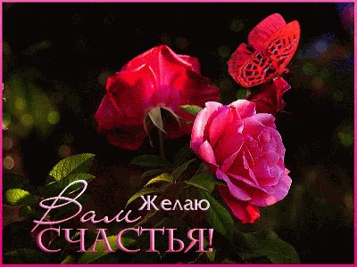 https://www.florist.ru/tekeli/bouquet-611033