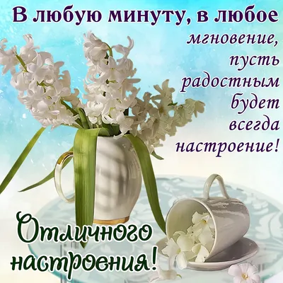 https://dzen.ru/a/XwtvhIA9dmTZee0L