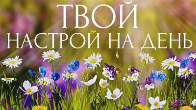 💗☕️🌷Доброе Утро! Хорошего Дня! Заряд Позитива на Весь День!💞 - YouTube