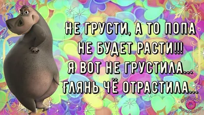 Позитивчик | Пикабу