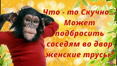 ♥♥♥ ПОЗИТИВ-позитивчик для ДРУЗЕЙ ღღღ | ВКонтакте | Поздравительные  открытки, Милые открытки, Благодарственные открытки