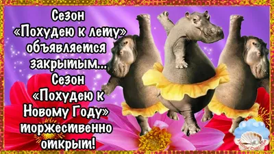 ♥♥♥ ПОЗИТИВ позитивчик для ДРУЗЕЙ ღღღ – Artofit