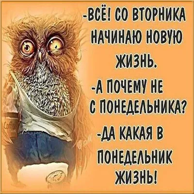 Счастье, как образ жизни on Instagram: “Аффирмация дня 💓 Наш позитивный  настрой формирует нашу жизн… | Мотивирующие цитаты, Позитивные цитаты,  Мотивационные цитаты