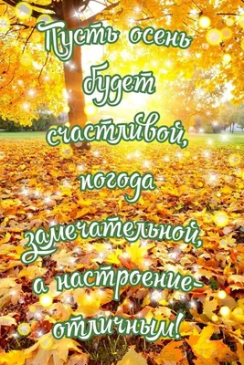 Настрой позитивный: как получать от жизни радость и быть счастливым -  7Дней.ру