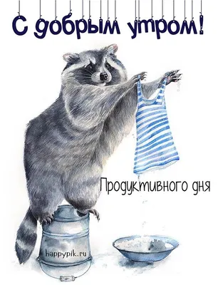 Твой день - делай его каким хочешь😉 Позитивные открытки с юмором!  @otkritkipozdrav #позитив #день #картинки.. | ВКонтакте