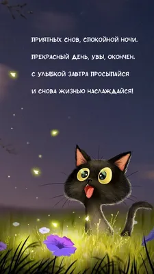 Картинки: \"Спокойной ночи!\" (4175 шт.)