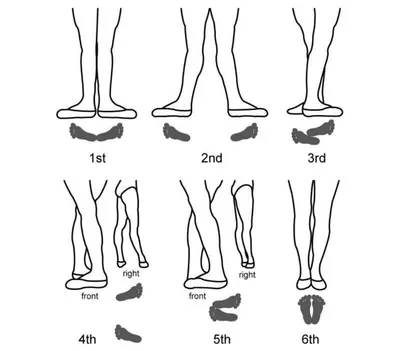 Позиции ног и рук в классическом танце — основы классической хореографии