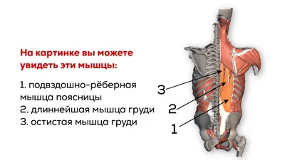 Заболевания позвоночника: виды | симптомы | лечение