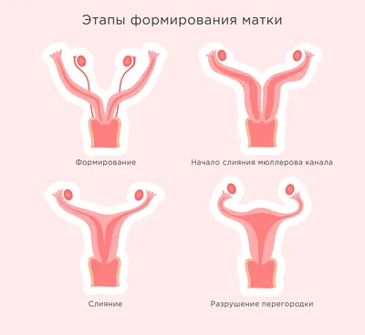 Миромед - 5 мифов успешного зачатия! ❤😉 ⠀ 1️⃣ Позы. «Закинь ноги на стену  после дела и сразу забеременеешь!\"-говорят некоторые бабушки или мамы,  желая поскорее понянчить внуков😁 ⠀ Реальность: позы не помогают